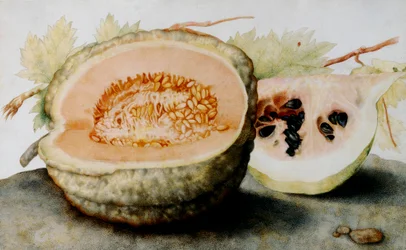 A cantaloupe and a slice of watermelon